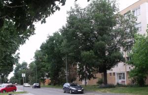 1st Floor Apartman