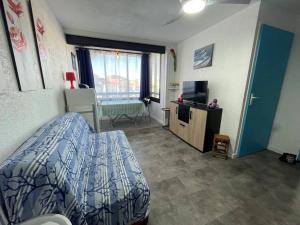 Charmant 2P, 2 couchages, parking, loggia, proche plage et centre, animaux acceptés - FR-1-225D-171