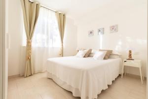 Follow the Sun img24