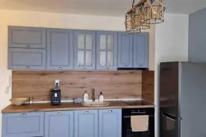 Cosy apartment - 斯塔佐扎格斯基巴尼