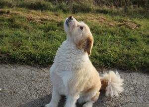 Reetkate Kaltenhoern