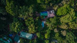 Spice Jungle Resort
