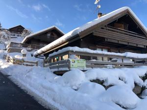 Chalets Chalet LE TREMPLIN - wifi, BBQ, parking : Chalet