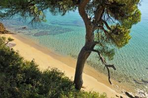 Super Luxury Skiathos Villa Seven Stunning Bedroom Suites Villa Levanta