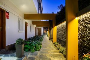 Puccini Oasis - Madame Butterfly