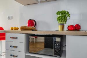 ShortStayPoland Śliska (B111)