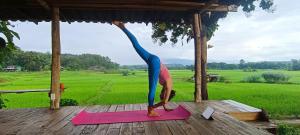 Kaewma farmstay