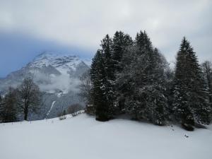 Apartment Chalet Grindelwaldgletscher by Interhome