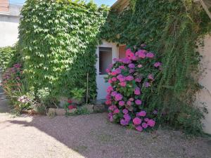 Appartements Chez Rolando Studio cosy : photos des chambres