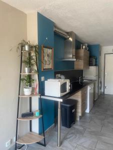 Appartements IBIZA Studio Cosy, parking privatif, wifi, clim, 5 mn plage : photos des chambres