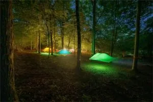 Camping Future Is Nature Playground - Mongrando