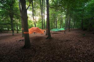 Camping Future Is Nature Playground