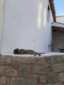 Casetta da scoprire a due passi dal centro img19