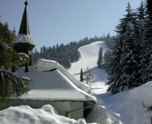 Maisons d'hotes Chalet Terejo & spa : photos des chambres
