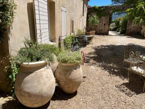 Appartements Domaine Faverot : photos des chambres