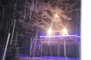 CabanaAframe intreaga proprietate