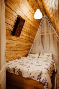 CabanaAframe intreaga proprietate