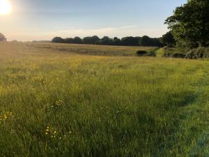 Goodwin Farm