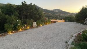 WindFlake Resort img27