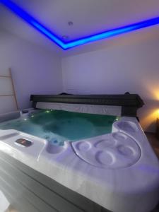 B&B / Chambres d'hotes Loft Spa Led & bo : photos des chambres