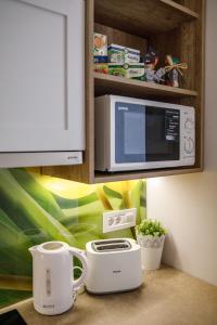 Central Luxury apartment