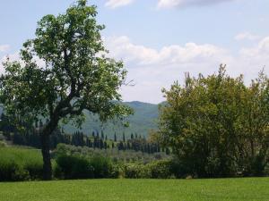 Località Montanino Di Volpaia, Radda in Chianti, 53017, Tuscany, Italy.