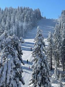 Woodside Kopaonik & SPA by Slopeview