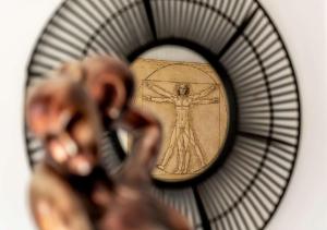 Hotels Best Western Le Vinci Loire Valley : photos des chambres