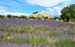 Maisons de vacances Beautiful Home In Montbouchet-sur-jabron With Outdoor Swimming Pool, Sauna And 4 Bedrooms : photos des chambres