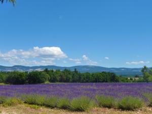 Maisons de vacances Nice house with private pool in the Parc du Luberon, Grambois : photos des chambres