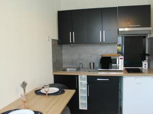 Studio cosy avec Wi-Fi à 50m du centre, proche des Thermes - La Roche-Posay - FR-1-541-56