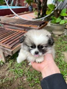 Phong Nha Tuan Garden House