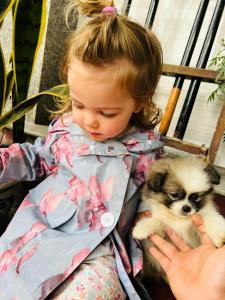 Phong Nha Tuan Garden House