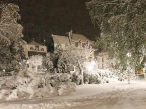 Mont-Dore Centre: Bel Appartement T2 au Pied des Thermes avec Wifi - FR-1-608-241