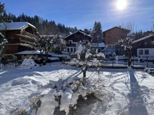 Appartements Appartement Megeve, 1 piece, 4 personnes - FR-1-597-34 : photos des chambres