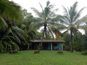 Mangrove villa - Yoga & Ayurveda