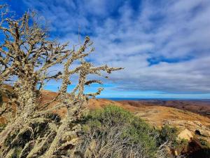 Casa del Mar Air-conditioned Apartment with Swimming Pools - Corralejo Playa