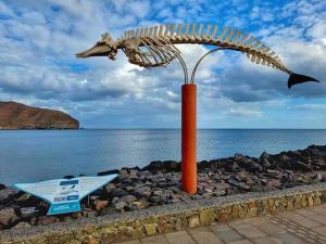 Casa del Mar Air-conditioned Apartment with Swimming Pools - Corralejo Playa