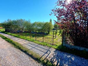 Luxury Pop Up Camping & Hotel Package & Private Transport to Tomorrowland