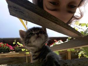 Bioferienhof Brückler