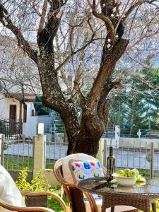 The Almond Tree villa