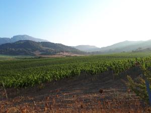 Auberge Santu Martine - Cottage with Pool - Ischierda img49