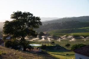 Auberge Santu Martine - Cottage with Pool - Ischierda img45