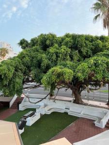 Cozy apartment Costa Adeje