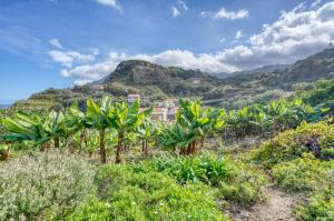Quinta da Vila
