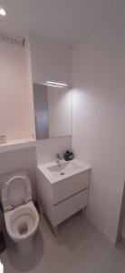 Colocation maison - Villeurbanne près de Lyon