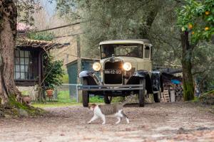 Chalé da Quinta "Lavoura da Bouça - Fruta Bio"