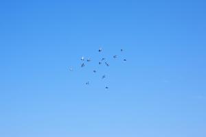 【 Nona 九十九里 】　テラスでBBQ 九十九里の一棟貸切宿。