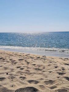 Appartements Farniente et douceur en plein Centre de Calvi : photos des chambres