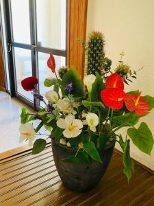 Appartements Farniente et douceur en plein Centre de Calvi : photos des chambres